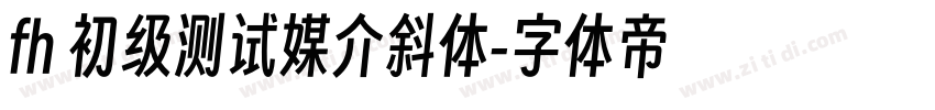 fh 初级测试媒介斜体字体转换